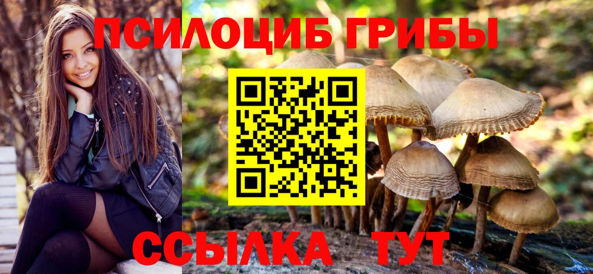 Ярцево  Псилоцибиновые грибы мицелий  Вход с VPN 